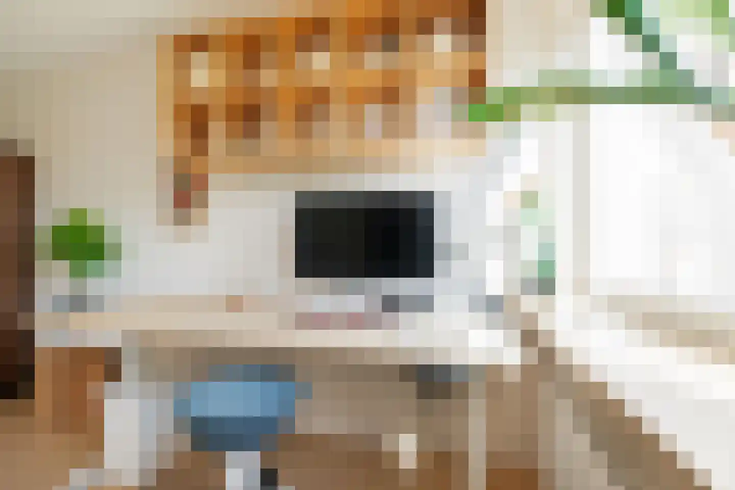 Tjariet 62 Groningen thumbnail 32
