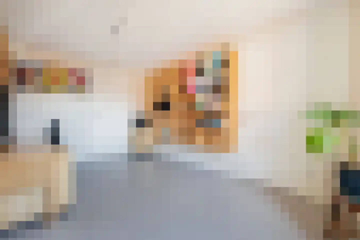 Tjariet 62 Groningen thumbnail 35