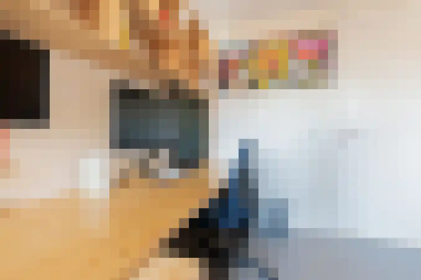 Tjariet 62 Groningen thumbnail 36