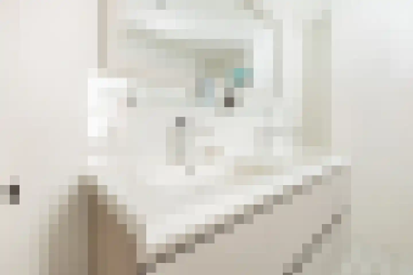 Tjariet 62 Groningen thumbnail 39