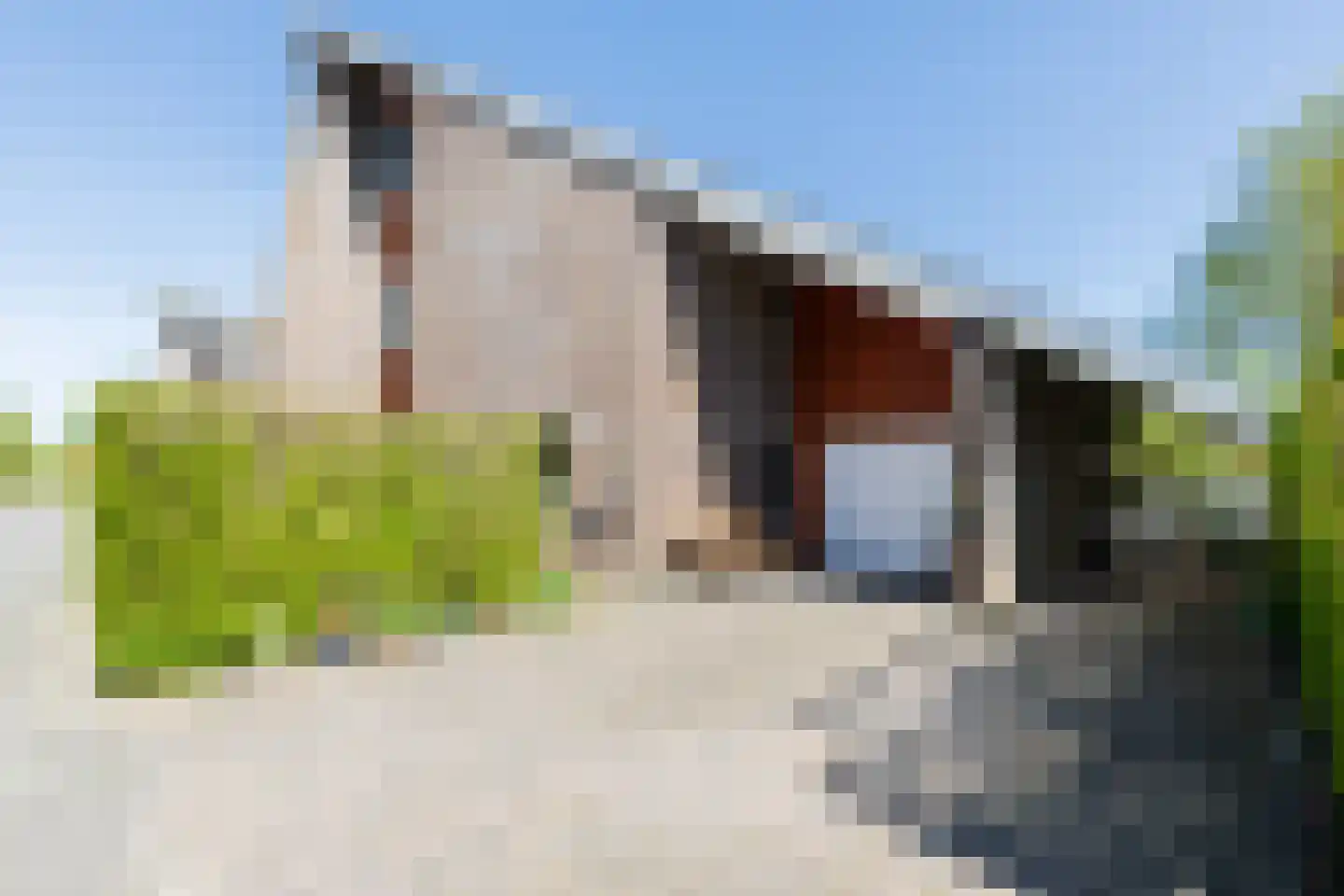 Tjariet 62 Groningen thumbnail 4
