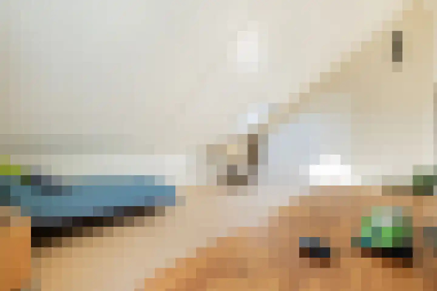 Tjariet 62 Groningen thumbnail 45