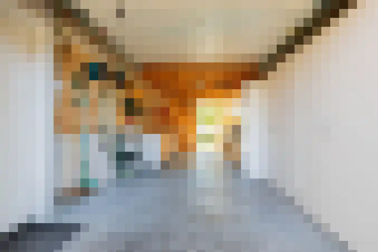Tjariet 62 Groningen thumbnail 49