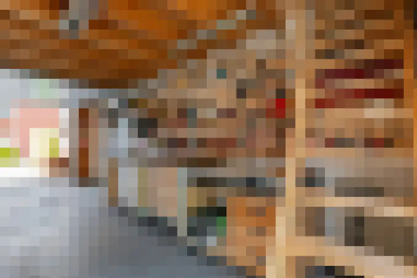 Tjariet 62 Groningen thumbnail 51