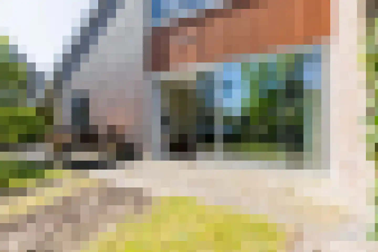 Tjariet 62 Groningen thumbnail 54
