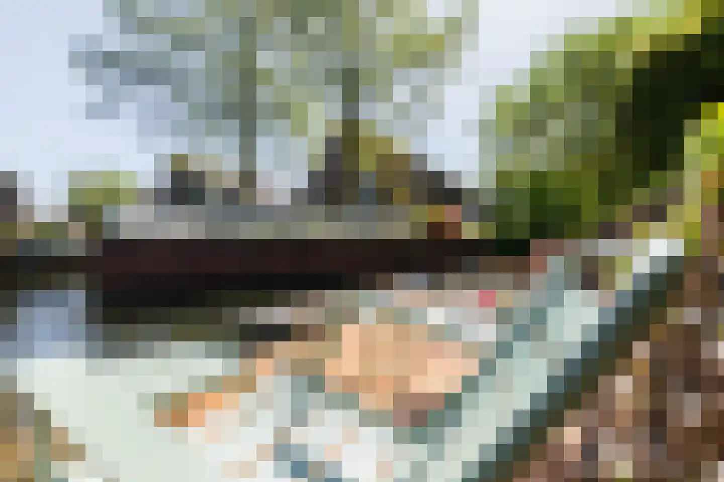 Tjariet 62 Groningen thumbnail 58