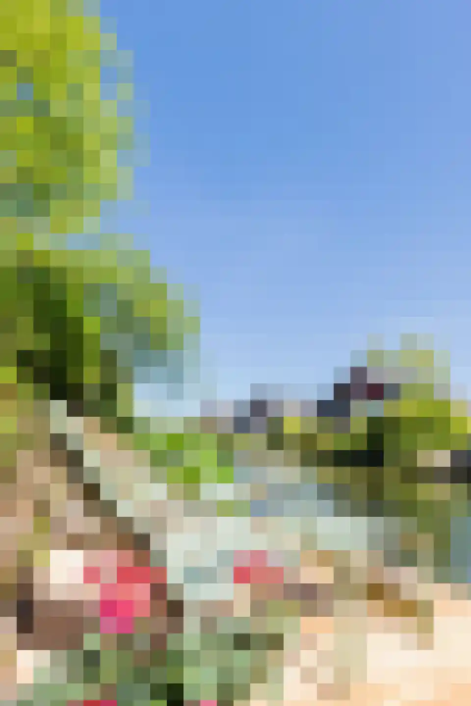 Tjariet 62 Groningen thumbnail 59