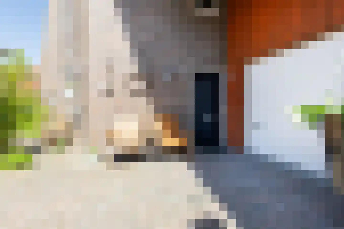 Tjariet 62 Groningen thumbnail 6