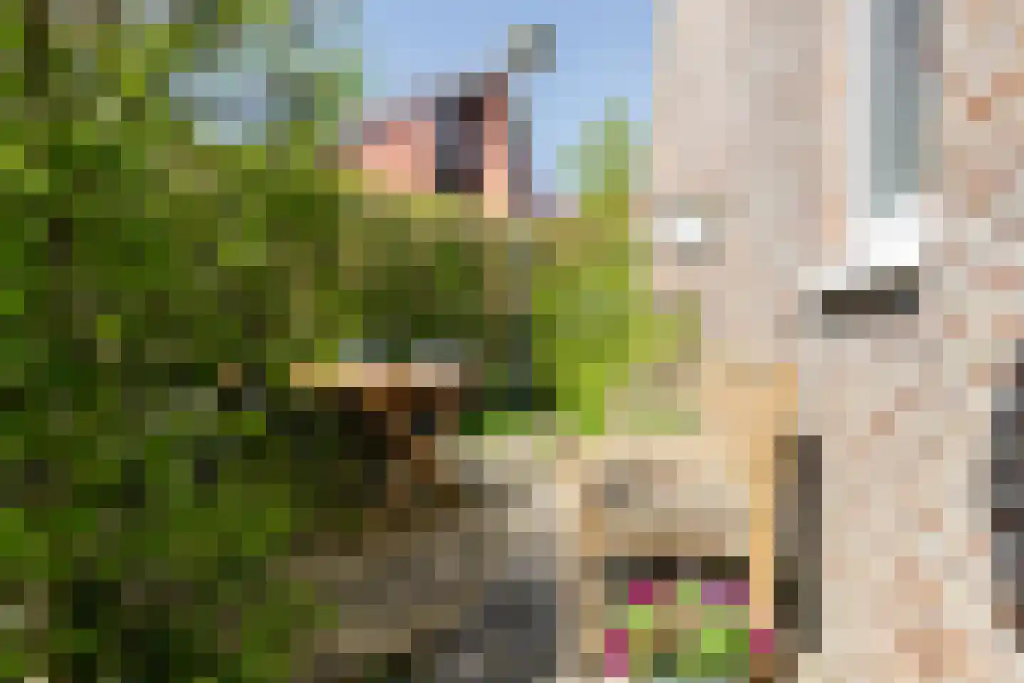 Tjariet 62 Groningen thumbnail 7