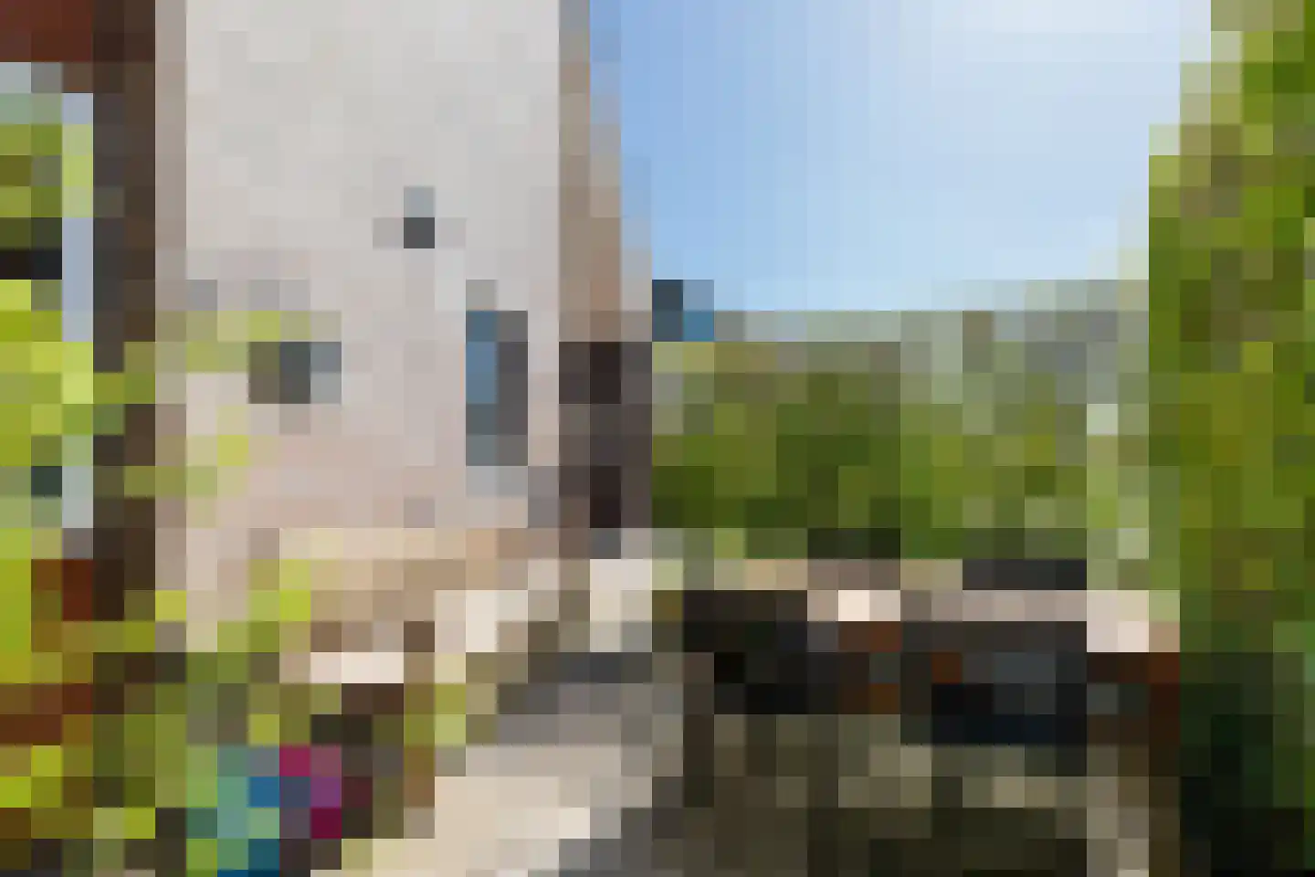 Tjariet 62 Groningen thumbnail 8