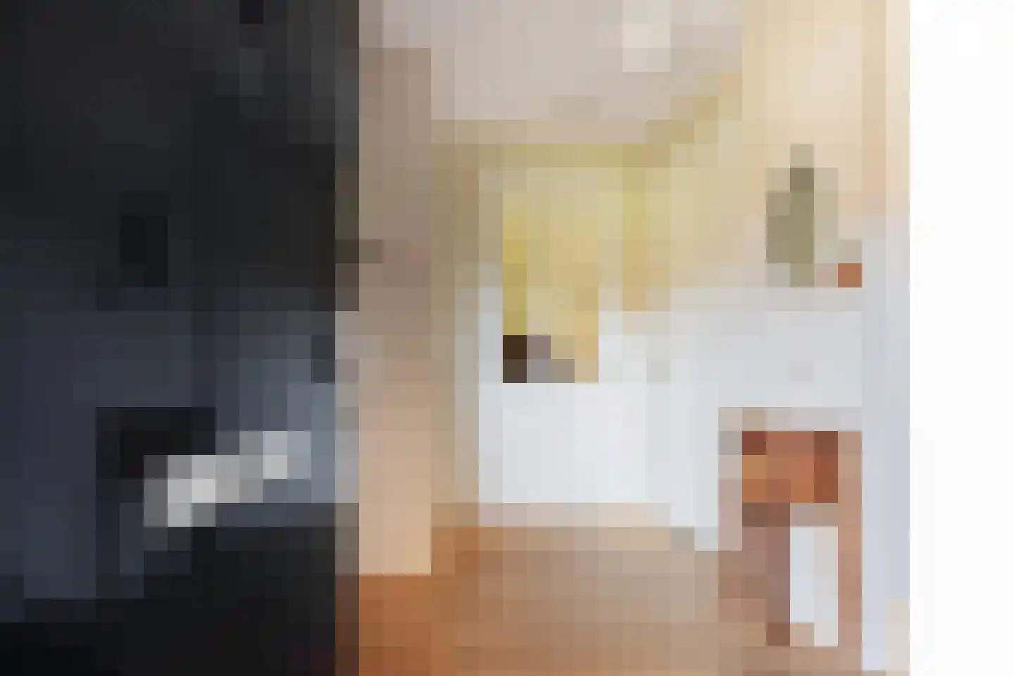 Tjariet 62 Groningen thumbnail 9