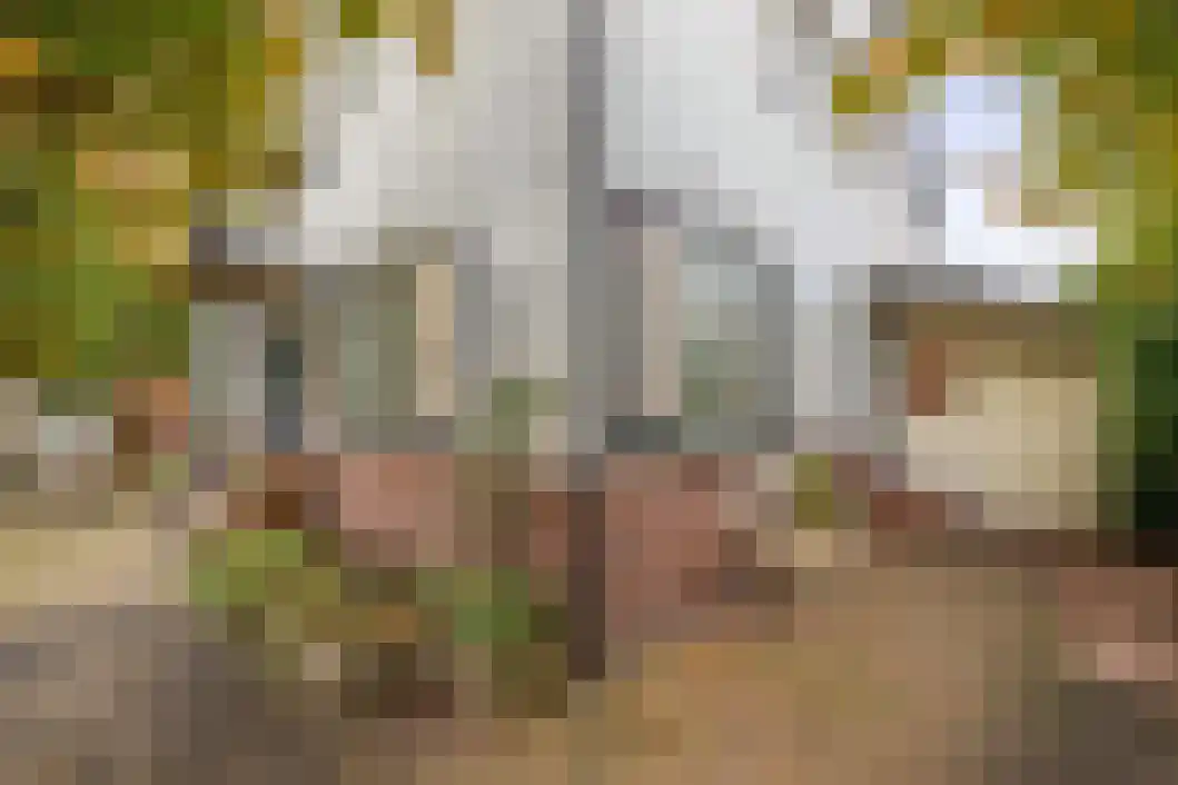 Tjark Jans Giezenstraat 4 Veendam thumbnail 46