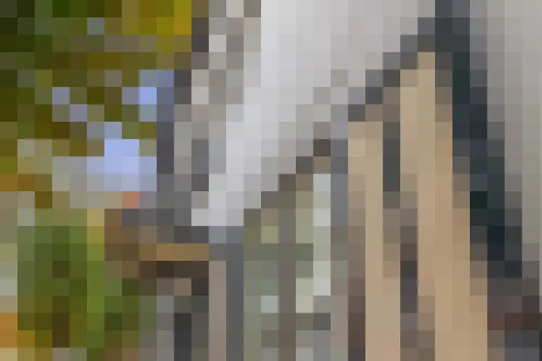 Tjark Jans Giezenstraat 4 Veendam thumbnail 8