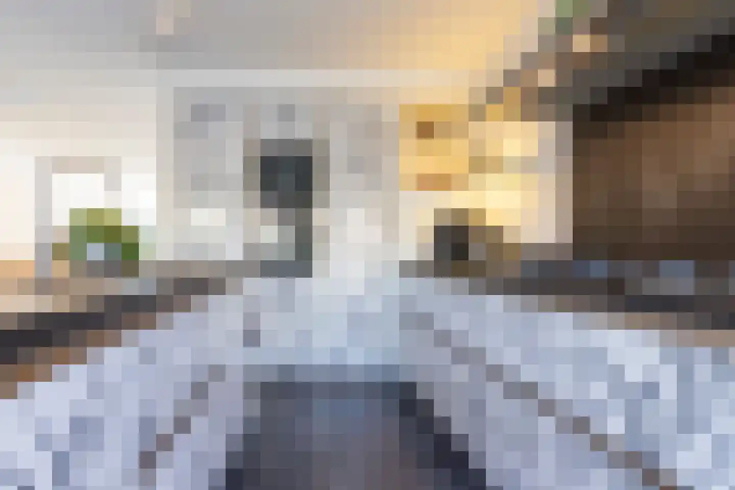 Tjasker 12 Tiel thumbnail 24