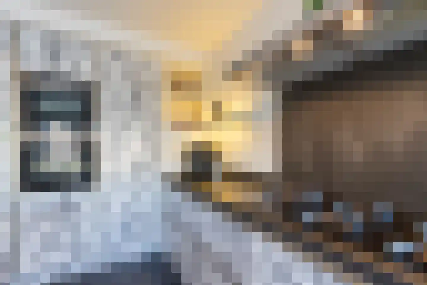 Tjasker 12 Tiel thumbnail 25