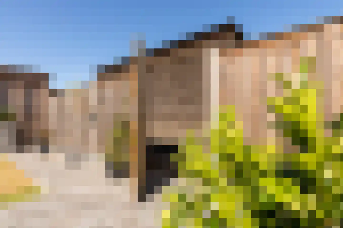 Tjasker 12 Tiel thumbnail 36