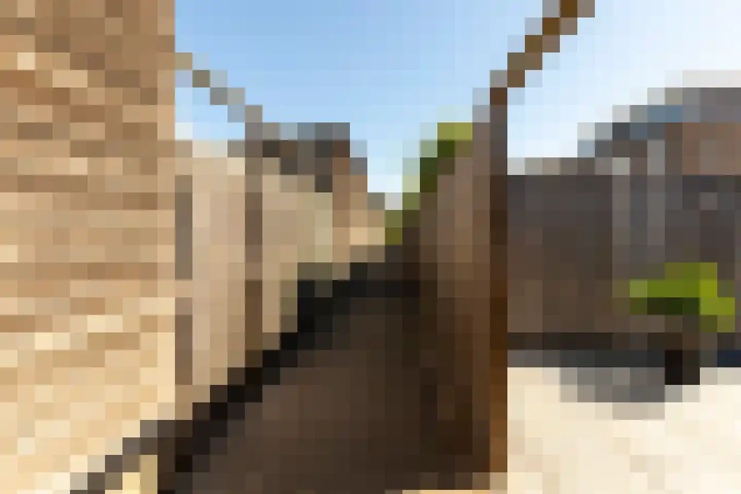 Tjasker 12 Tiel thumbnail 38