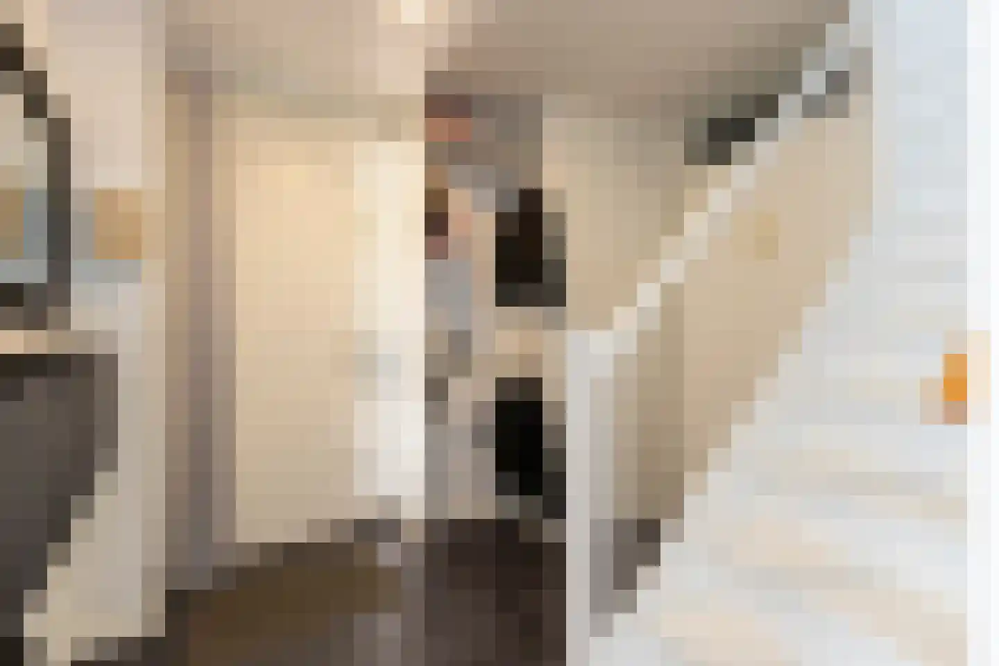 Tjasker 12 Tiel thumbnail 39