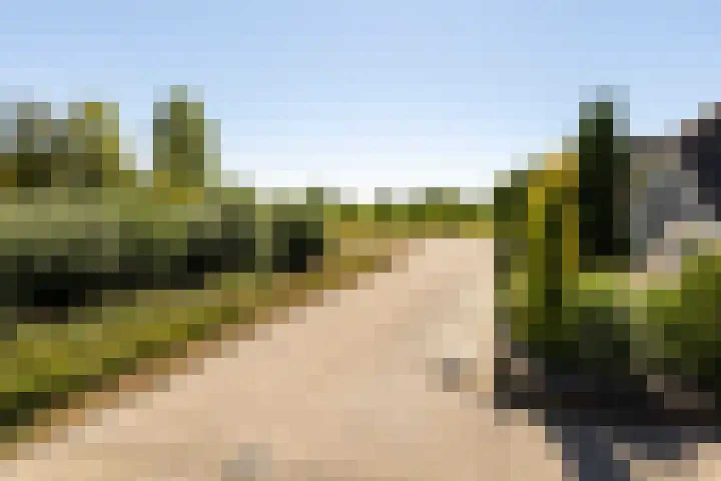 Tjasker 12 Tiel thumbnail 6