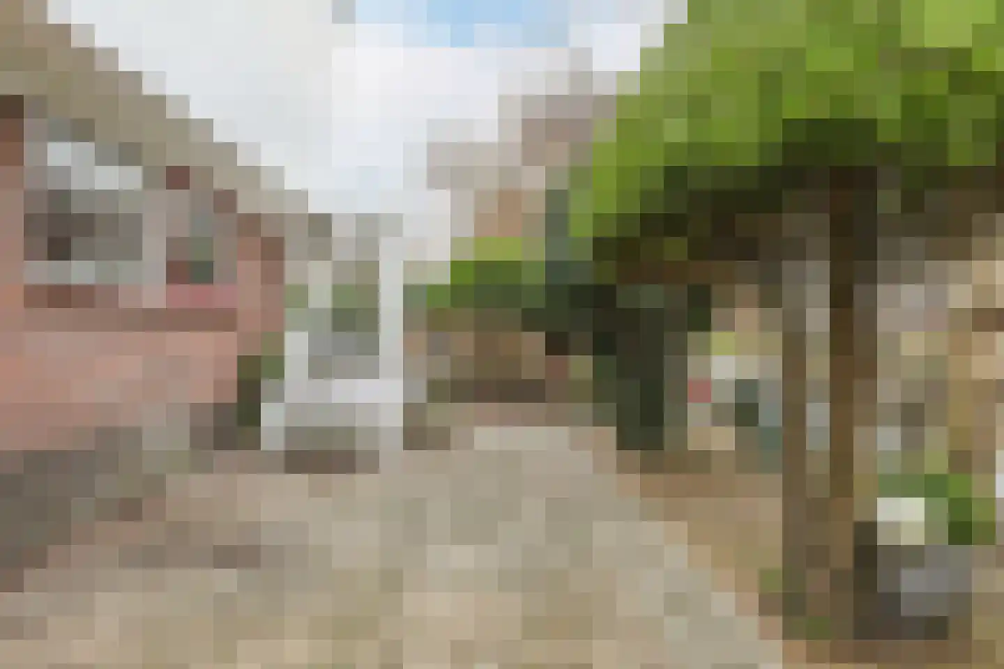 Tjasker 17 Purmerend thumbnail 28