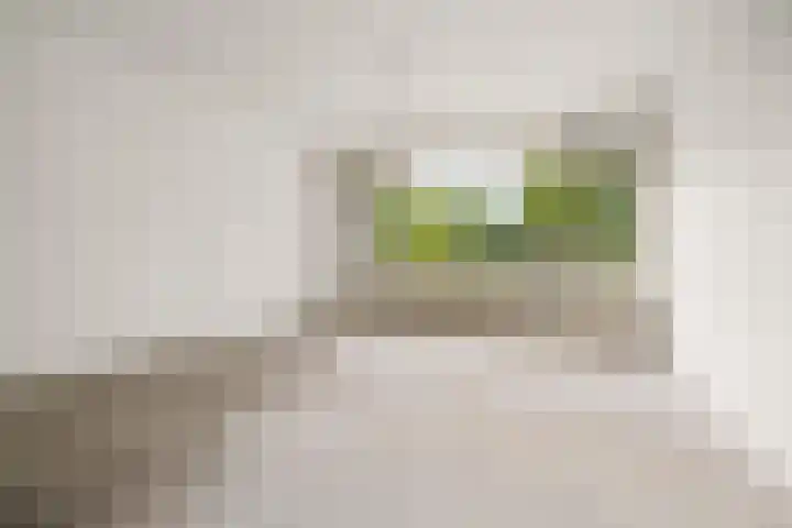 Tjasker 2 Amsterdam foto 2