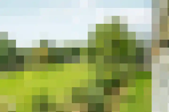 Tjasker 23 Amsterdam thumbnail 20