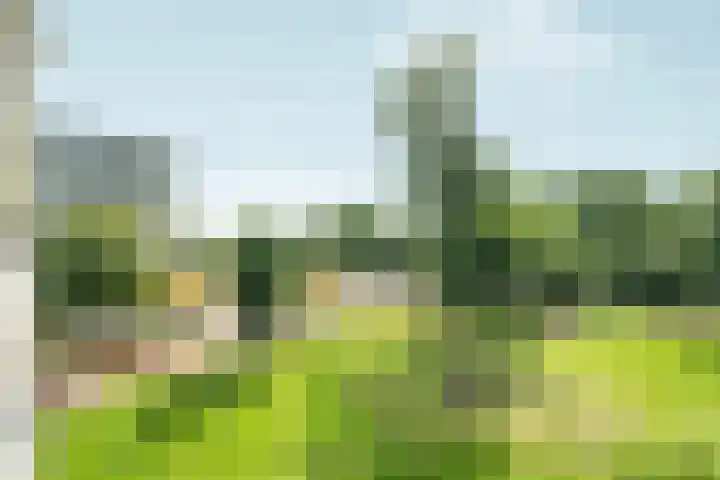 Tjasker 23 Amsterdam thumbnail 21