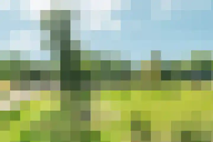 Tjasker 23 Amsterdam thumbnail 22