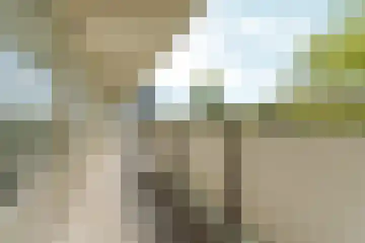 Tjasker 34 Amsterdam thumbnail 4