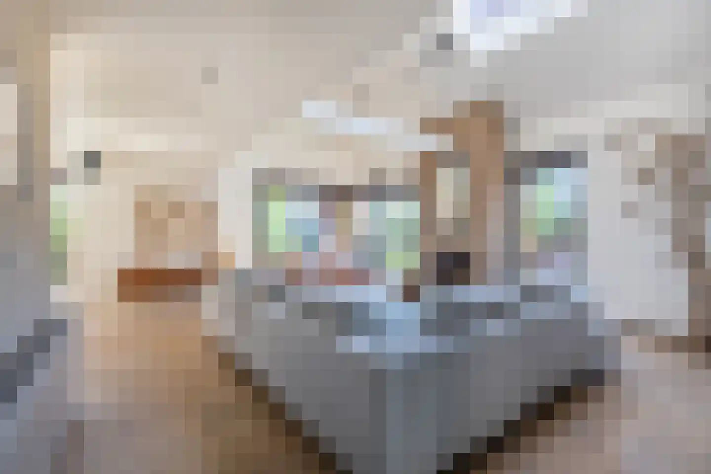 Tjasker 5 Purmerend thumbnail 11
