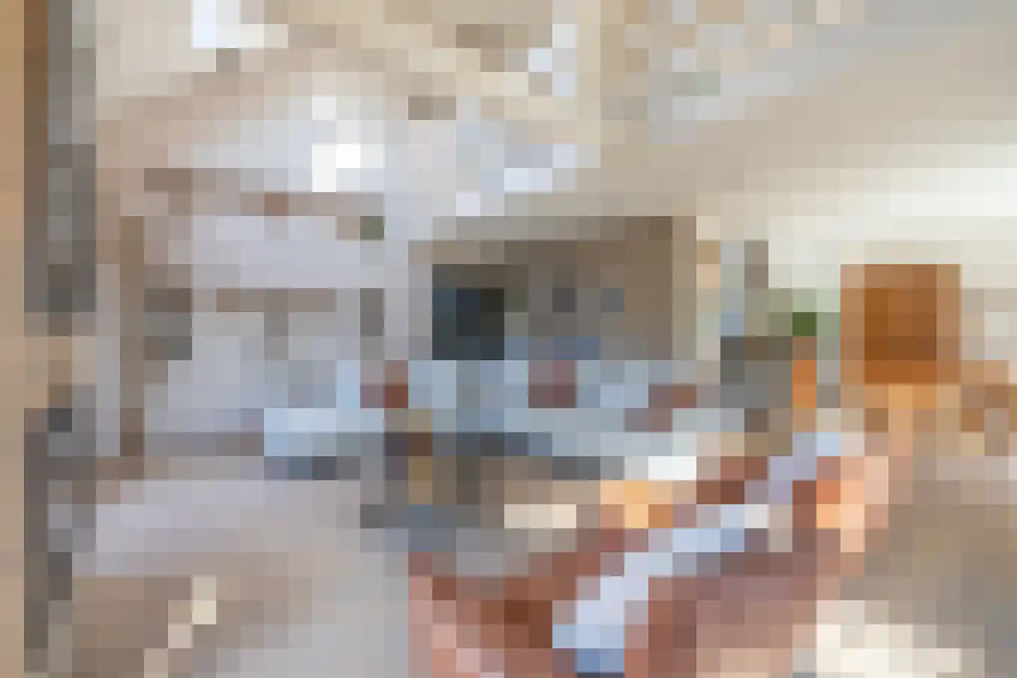 Tjasker 5 Purmerend thumbnail 12
