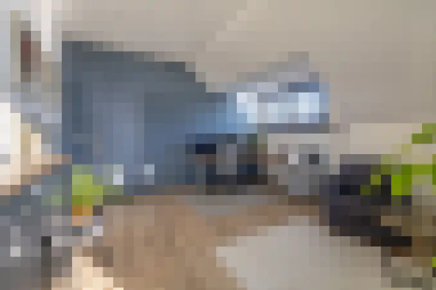 Tjasker 5 Purmerend thumbnail 42