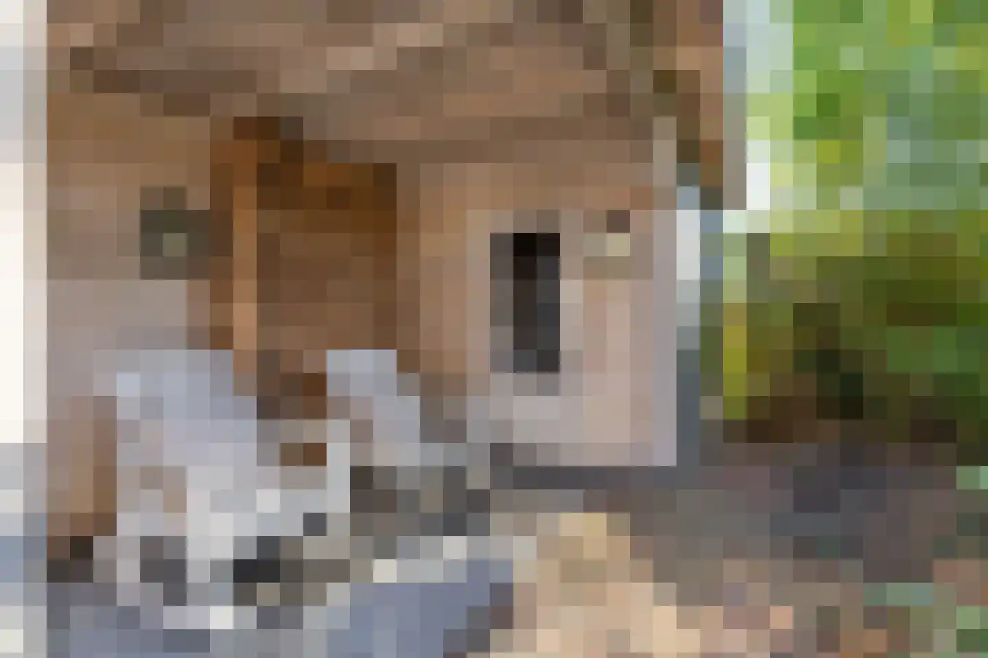 Tjasker 5 Purmerend thumbnail 49