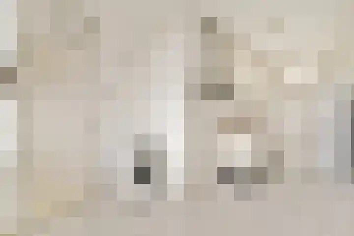 Tjasker 69 Amsterdam thumbnail 14