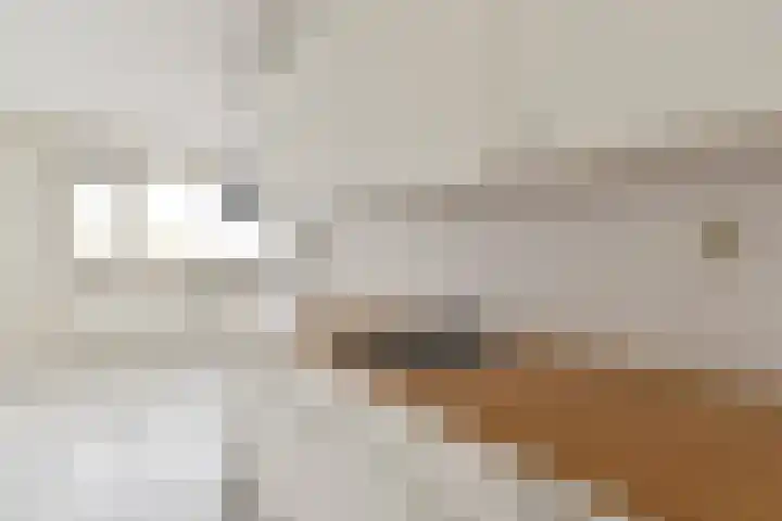 Tjasker 69 Amsterdam thumbnail 15