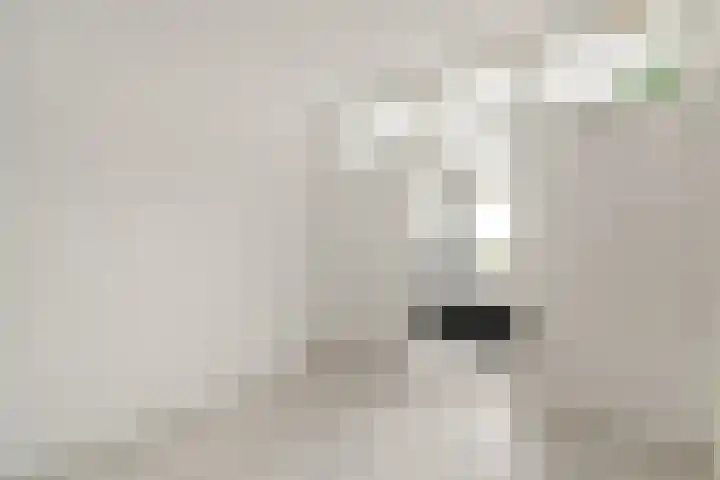 Tjasker 69 Amsterdam thumbnail 16