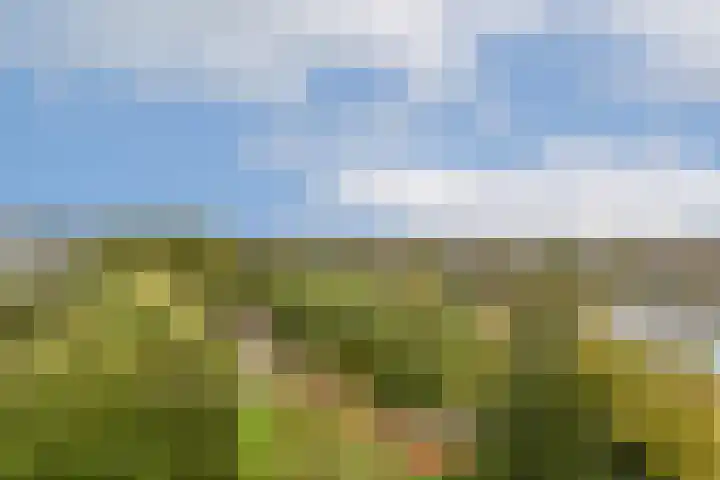 Tjasker 69 Amsterdam thumbnail 4
