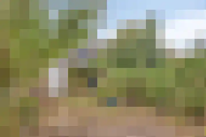 Tjaskerlaan 100 Rotterdam thumbnail 25