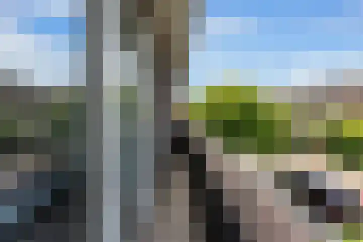 Tjaskerlaan 37 Rotterdam thumbnail 23