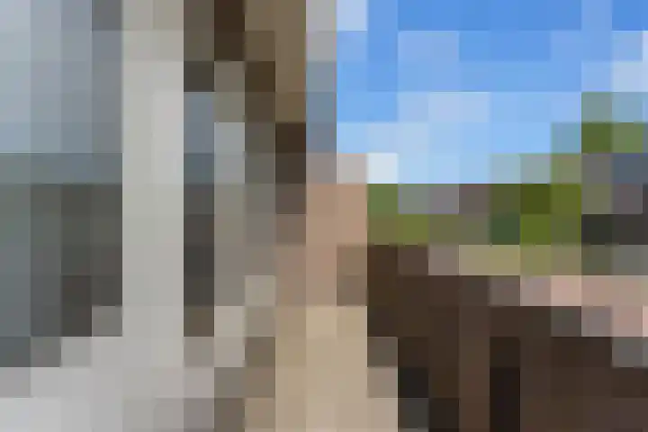 Tjaskerlaan 37 Rotterdam thumbnail 31