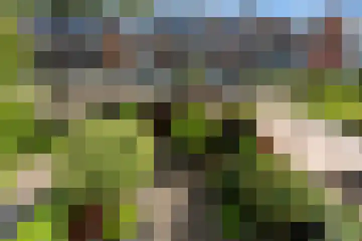 Tjaskerlaan 37 Rotterdam thumbnail 32