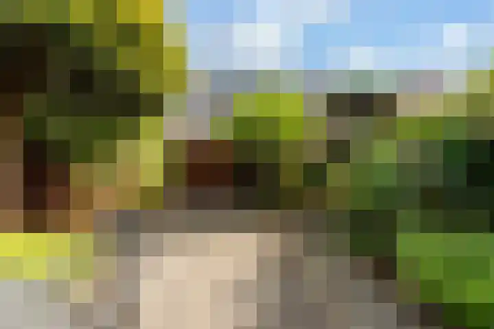 Tjaskerlaan 37 Rotterdam thumbnail 39