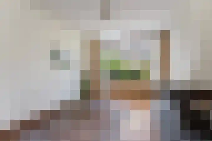 Tjaskerlaan 37 Rotterdam thumbnail 5