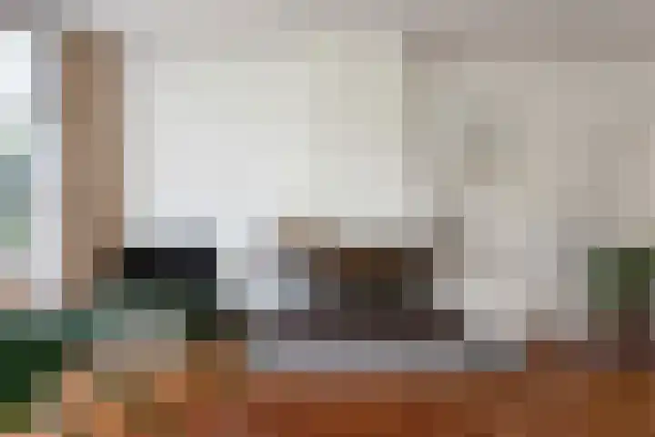 Tjaskerlaan 37 Rotterdam thumbnail 6
