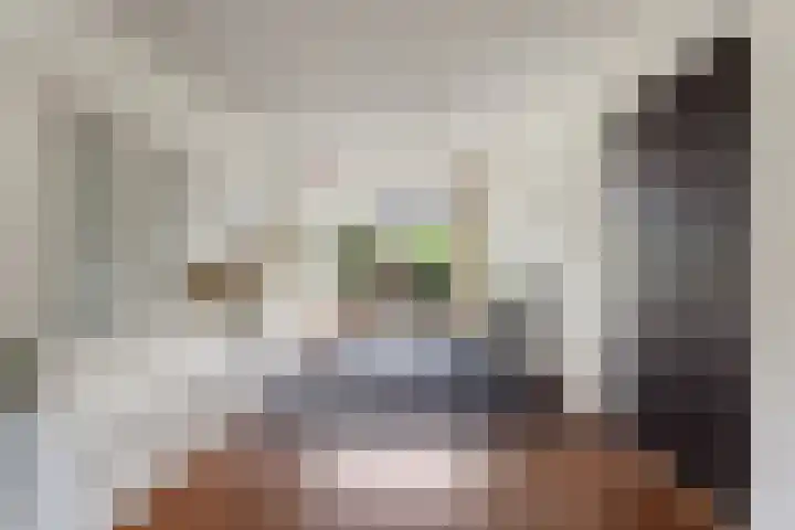 Tjaskerlaan 37 Rotterdam thumbnail 9