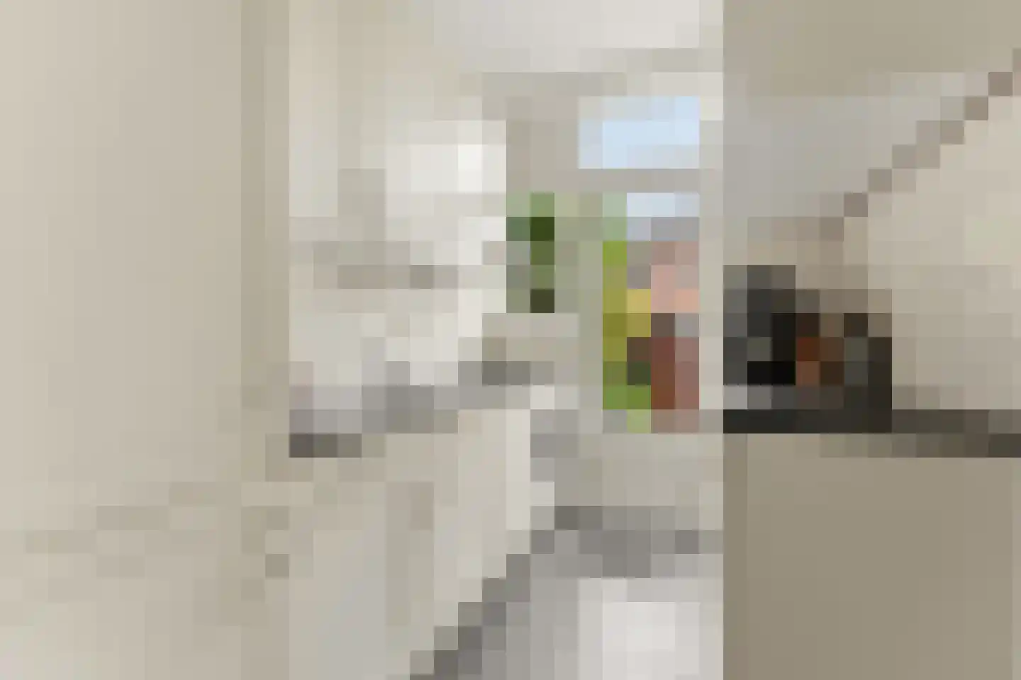 Tjaskerlaan 84 Rotterdam thumbnail 13