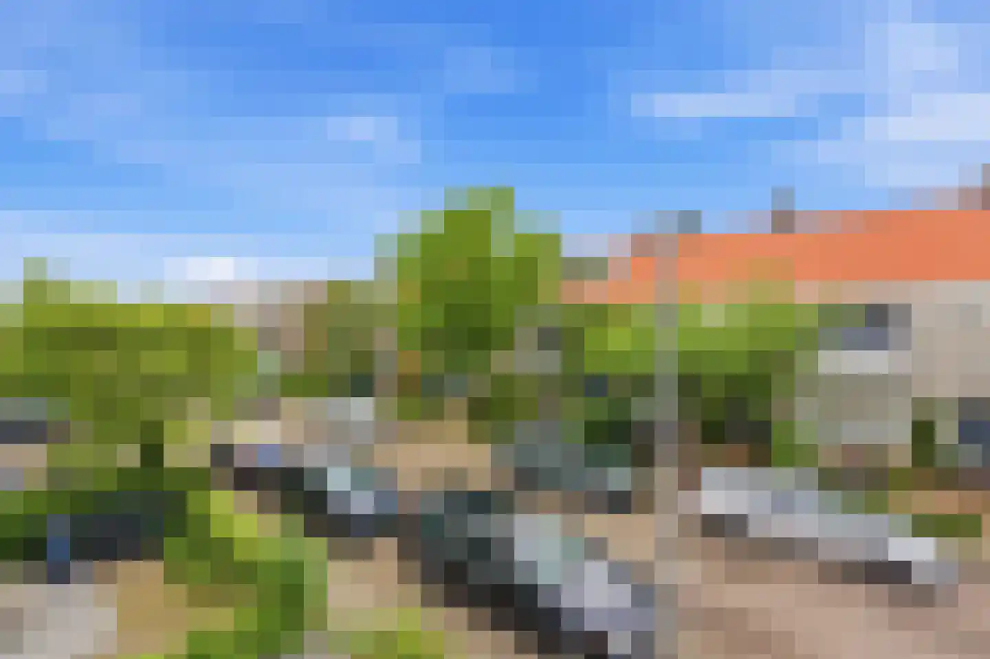 Tjaskerlaan 84 Rotterdam thumbnail 31
