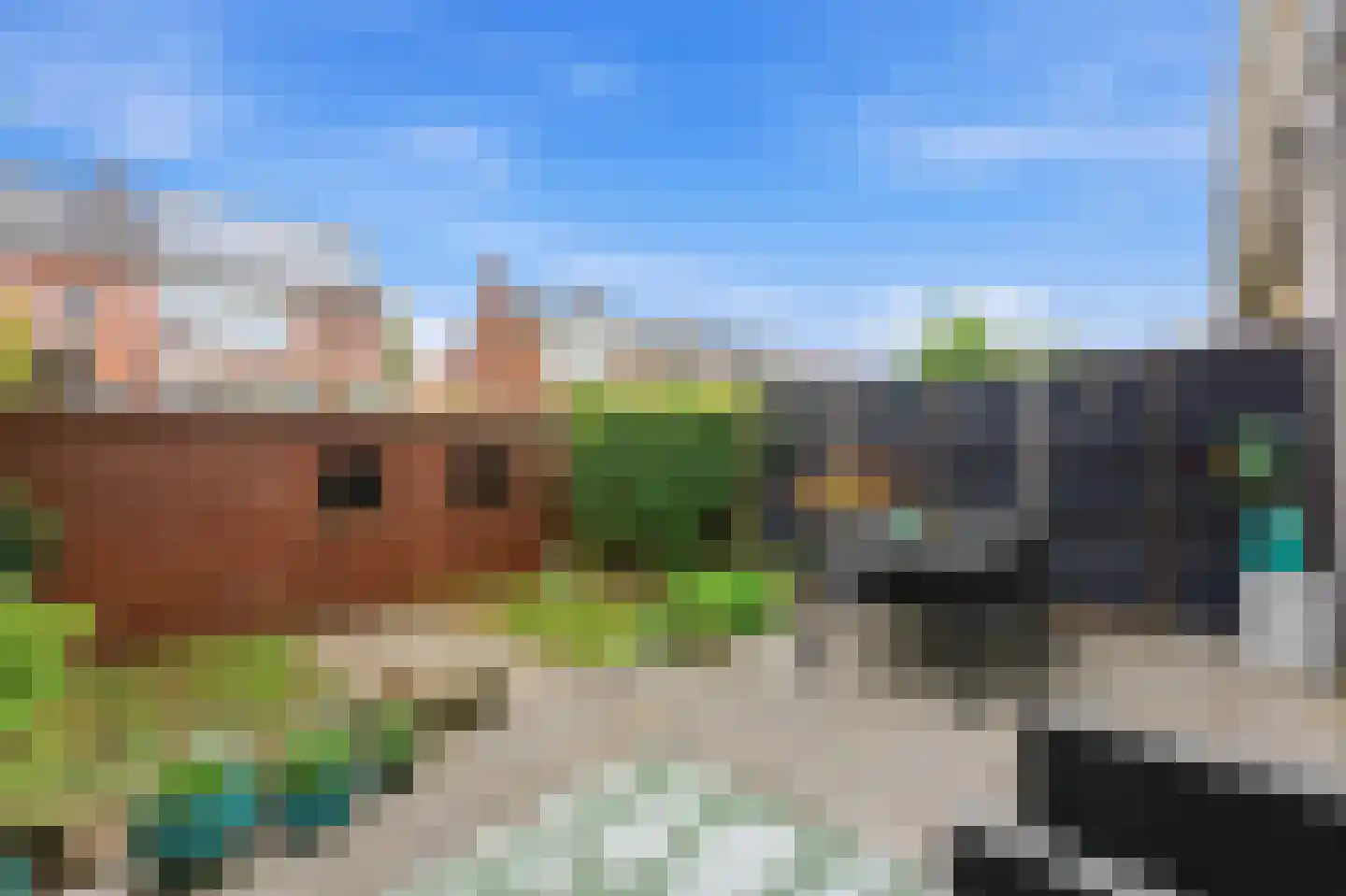 Tjaskerlaan 84 Rotterdam thumbnail 36
