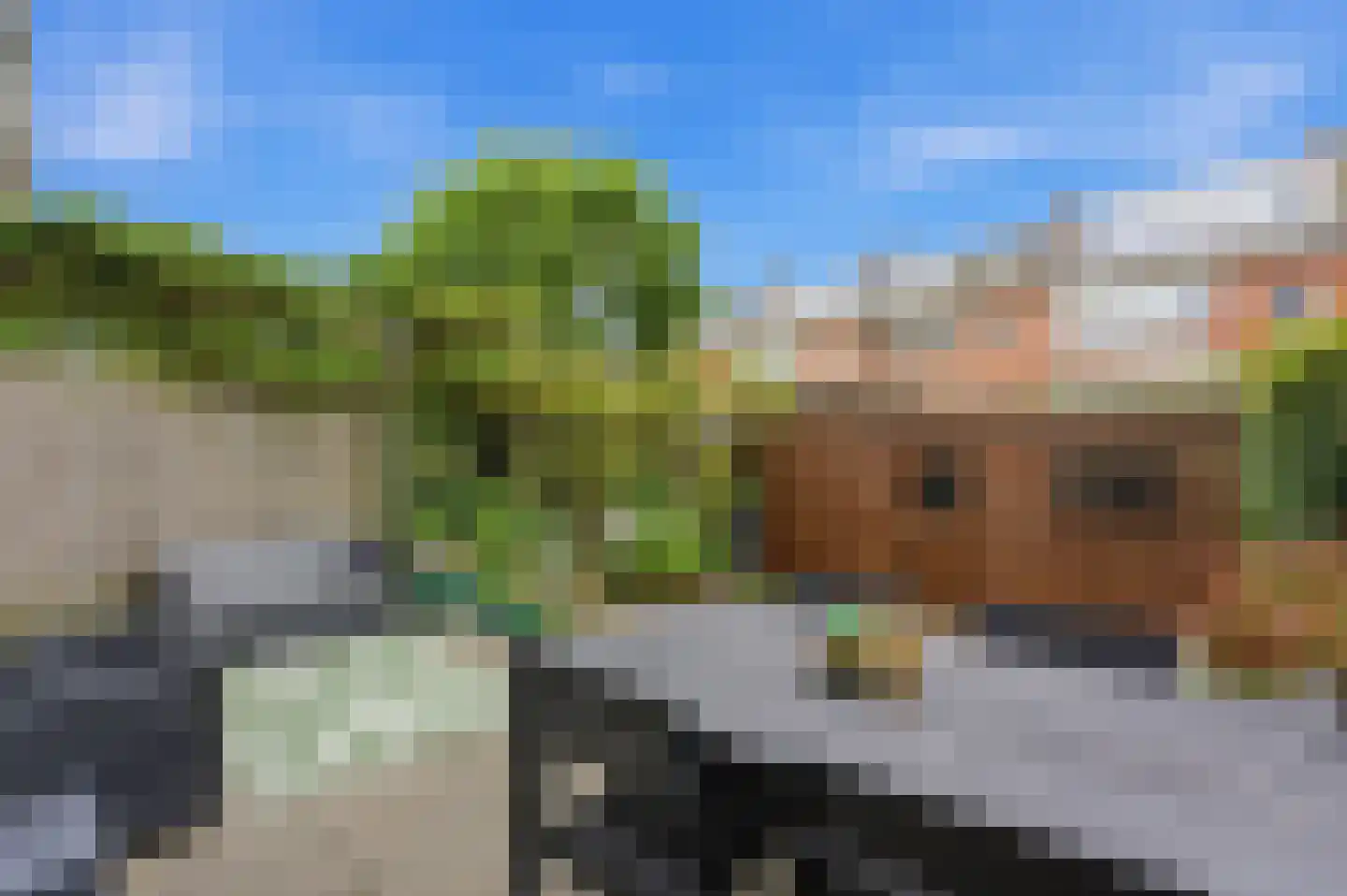 Tjaskerlaan 84 Rotterdam thumbnail 37