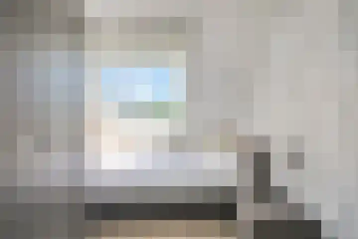 Tjaskermolen 16 Edam thumbnail 18